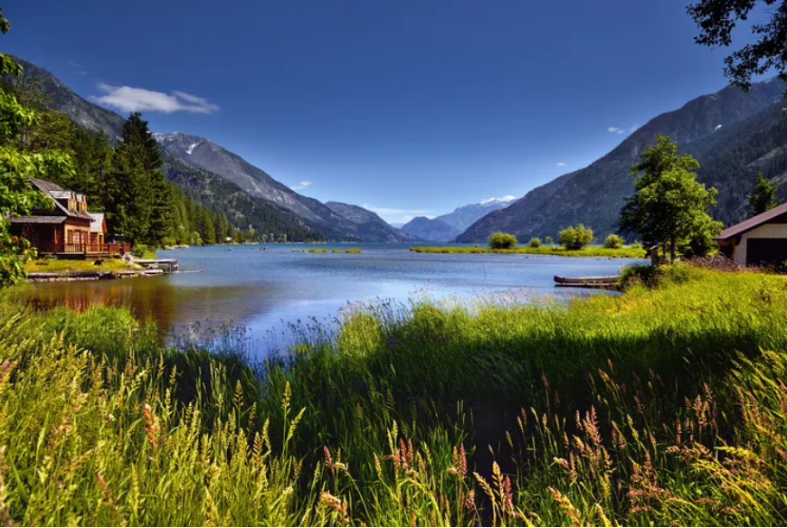 Image from Mark C Stevens/Getty Images