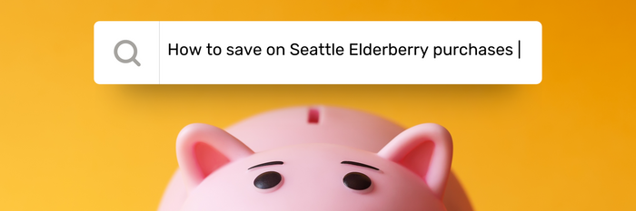 piggy bank with search bar how to save on seattle elderberry