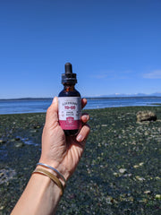 Organic Elderberry Tincture Two Pack