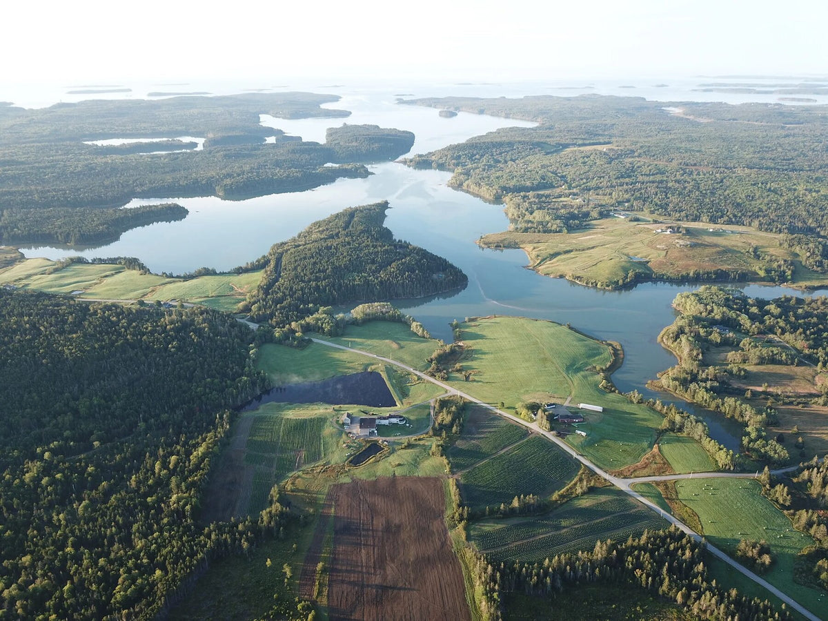 Aerial photograph of the family farm beside the bay in Machias, Maine